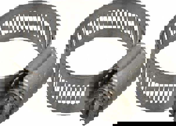 Worm Gear Clamp: SAE 16, 11/16 to 1-1/2